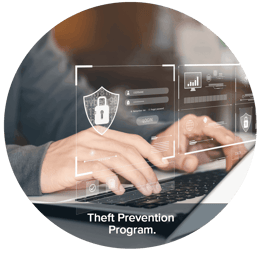 Theft prevention program