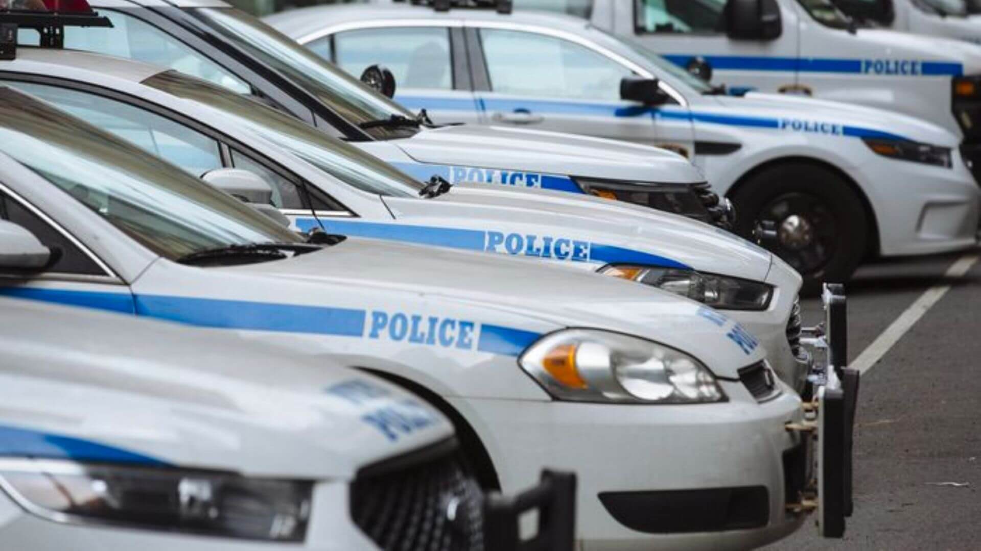 Police cars are parked in a pooled lot